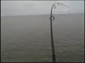 Bonefish 2008 by apollobeachsam Biscayne bay bone fish