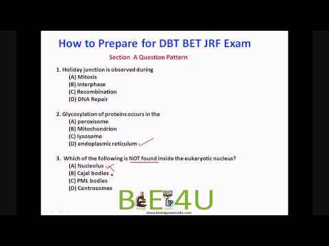 how to prepare for exam p