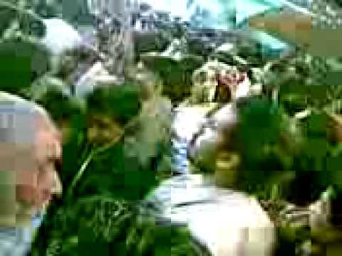 Mela Madhoo Lal Hussain 2009 (usmanjaan.hi5.com)