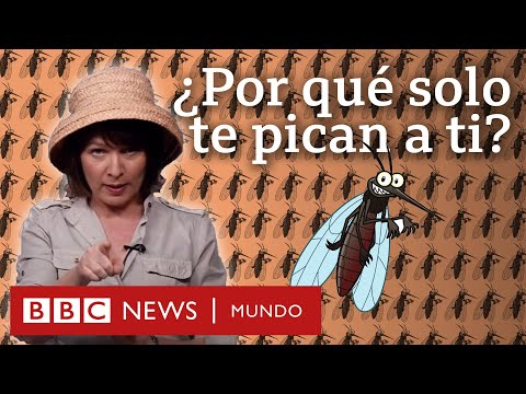 Por qué nos pican los mpsquitos? Por qué nos pican los mpsquitos?