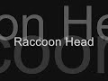 Raccoon Full Head Mask