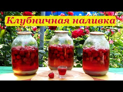 Как сделать настойку из клубники рецепт Как сделать настойку из клубники рецепт