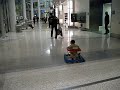 Aeropuerto Toronoto Martin de paseo