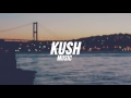 gnash ft. Olivia O'Brien - i hate u, i love u (James Yammouni Remix)