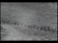 US Marines Battle of Guadalcanal