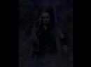 The Undertaker