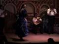 Flamenco dancing in Madrid, Spain 25