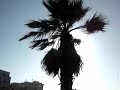 Turistia - Pantelleria