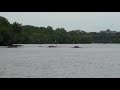 Radnor Girls Freshman 8 Wins Dr. White 2008 Heat