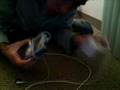 Re: How to Charge an iPod using electrolytes and POTATO CHIP