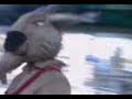 chivo millonario