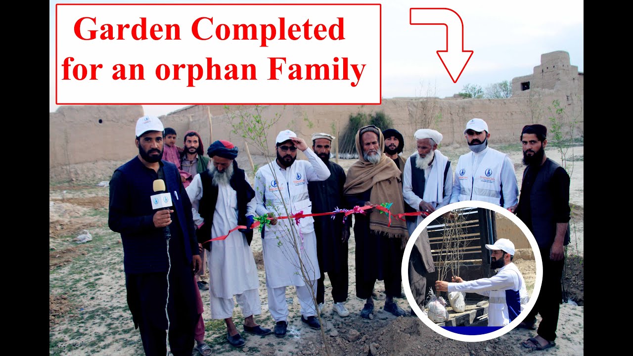 Graden Completed for an Orphan Family /د یتمیانو یو کورنۍ لپاره د انارو یو باغ جوړ شو