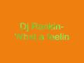 Dj Rankin- What a feelin