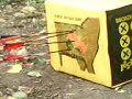 trad archery