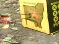 videos de trad archery