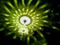 the chandelier