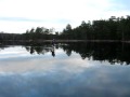 Skridsko p� G�lkhyttedammen