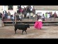 Torero Torero