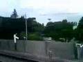 東京競馬場動画16