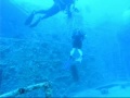 Buceo en Cuba Destructor Ruso PARTE 2 de 4