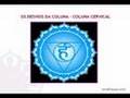 Navrattna Yoga - Desvios da Coluna Vertebral Parte I
