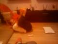 KTS facand abdomene cu WII Fit :))