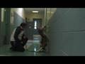 videos de Neuman