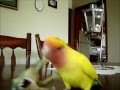 Axe-Wielding Bird