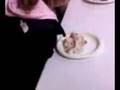 videos de Potato Eating Contest