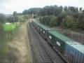 Twerton Tunnel 10.9.08
