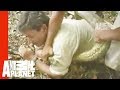 Anaconda Attacks TV Host