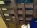 asiel y el mimi