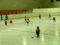 Edam Three Stars Vs Tford Jan 7, 2008 #2 Pre Novice