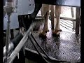 Branchement robot.mp4 Branchement robot.mp4