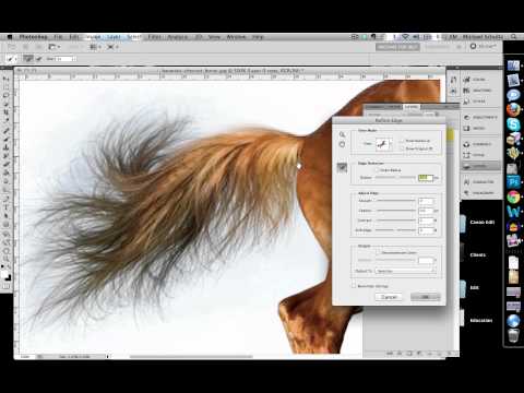 how to properly crop a photo