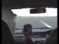 Evo IX hits seagul