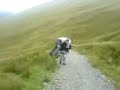 Gary Mckelvey giving Tank a firemans lift up helvellyn