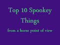 Top 10 things that spook your horse, from the horses point of view