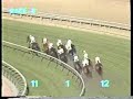 1988 San Marino Handicap