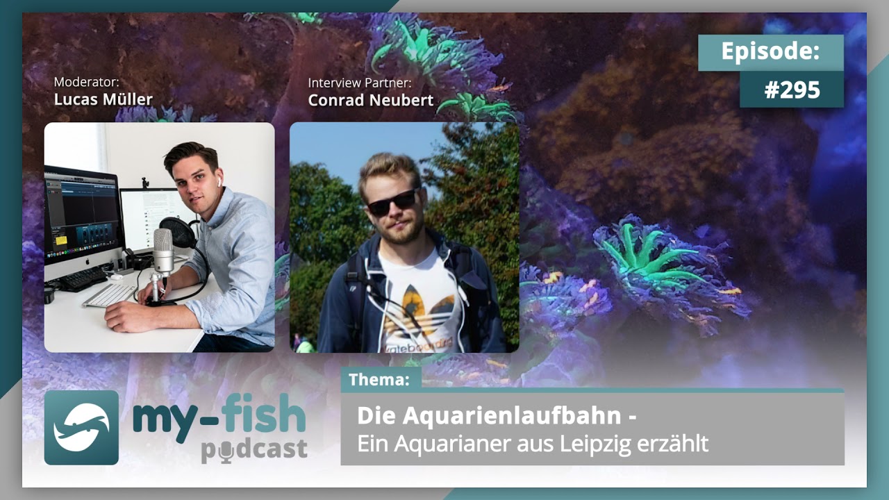 my-fish.org - Die Aquarienlaufbahn - Ein Aquarianer aus Leipzig erzählt (Conrad Neubert)