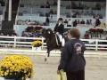 Dressage at Devon 2008 Dressage Pony Demonstration