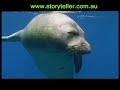 Part 1 - Hawaii Isle of Extinction Before It\ Part 1 - Hawaii Isle of Extinction Before It\
