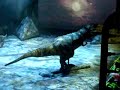 Dinasaurs live