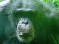 Baltimore zoo Baltimore zoo
