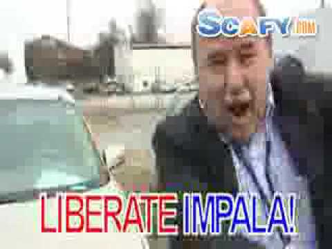 scafy - http://www.scafy.com ... Funny commercials Cuban Gynecologist: Local Car Commercial.