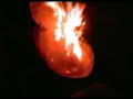Raku Firing POTTERY POTERIE www.artgilosa.com Raku Firing POTTERY POTERIE www.artgilosa.com