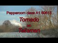 Thumbnail #1