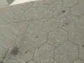 baltimore cops v s  skateboarder