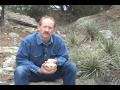Segmented Patterns with Curt Theobald