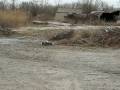 videos de Picture 006